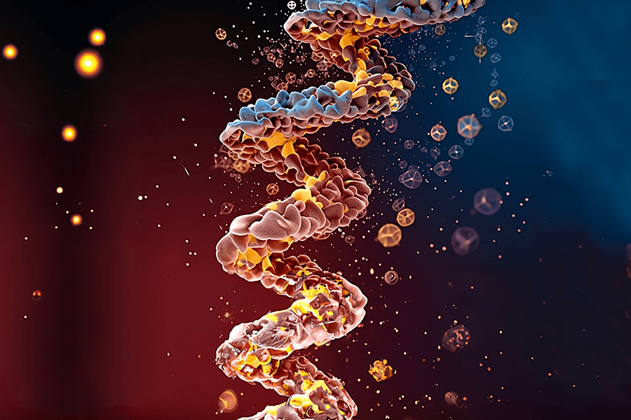 Protein Image Synthesis